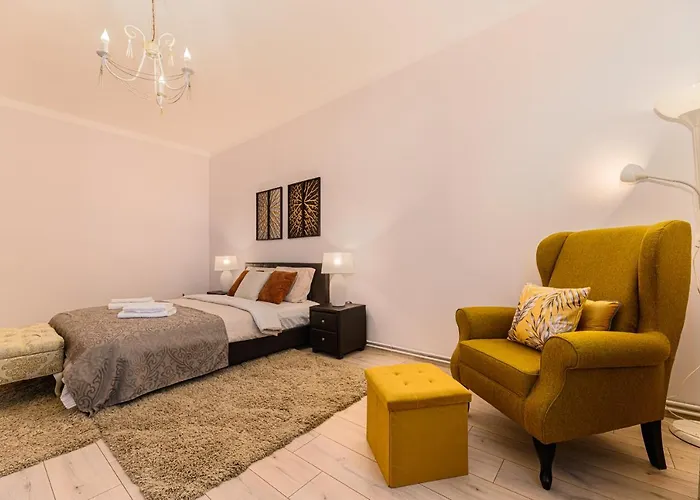 Chic&view 公寓 布拉索夫