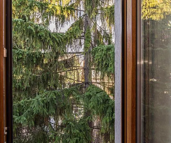 Chic&view * 布拉索夫